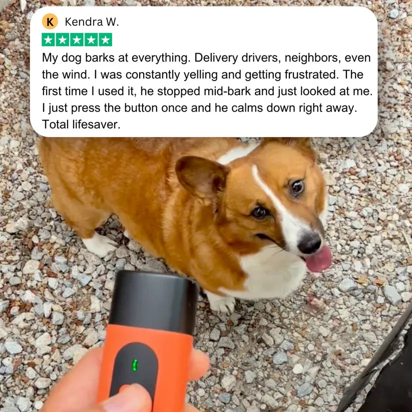 Anti-Barking Training Device