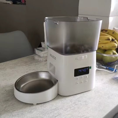 automatic-feeder-stainless-bowl-kitchen