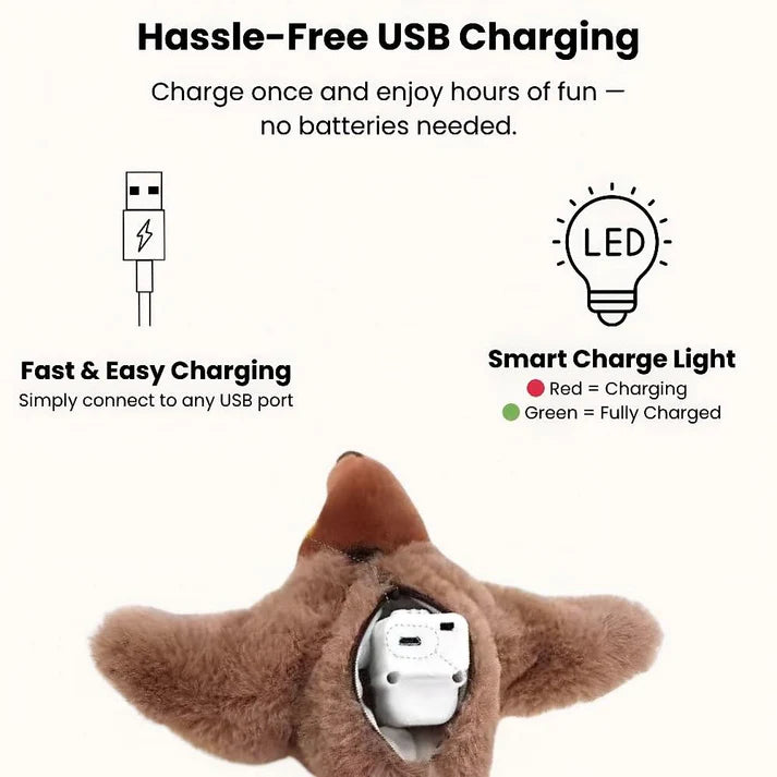 bird-cat-toy-usb-charging-features