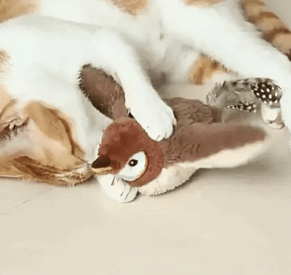 bird toy