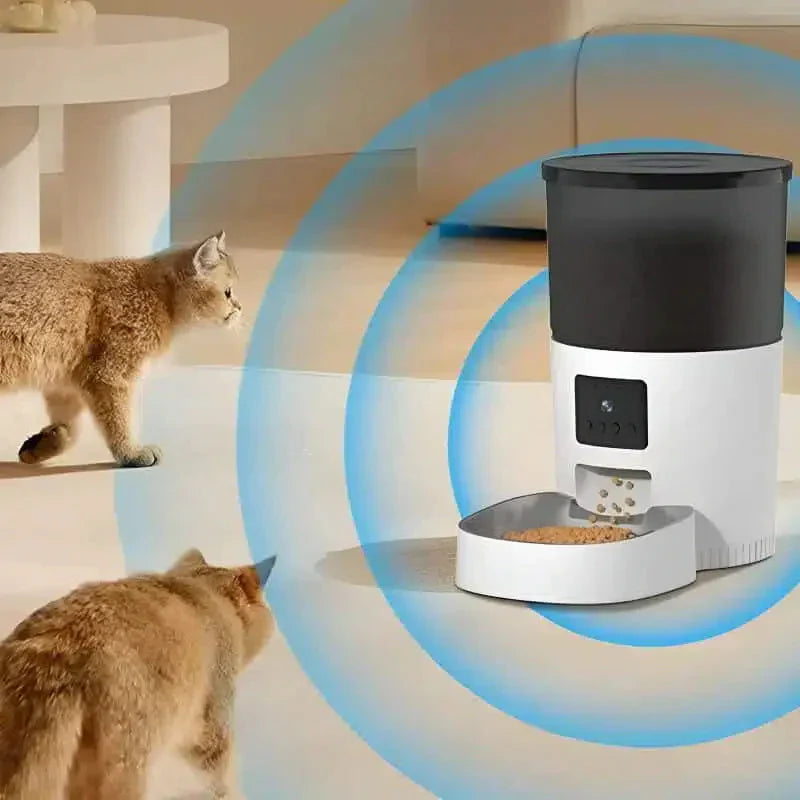 cat-approaching-automatic-feeder
