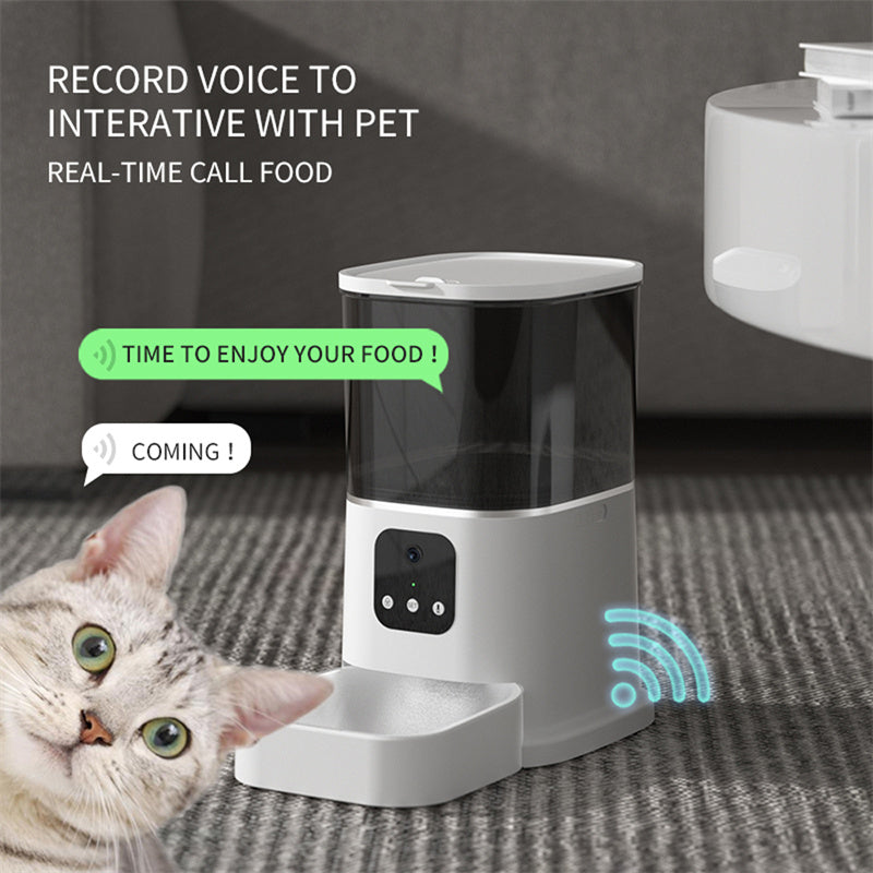cat-feeder-interactive-camera-feature