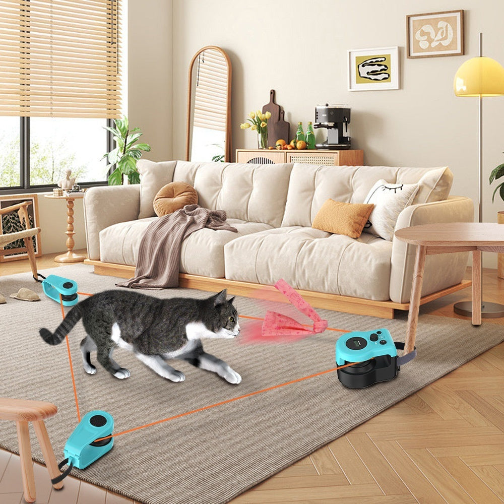 cat-playing-with-automatic-toy-living-room
