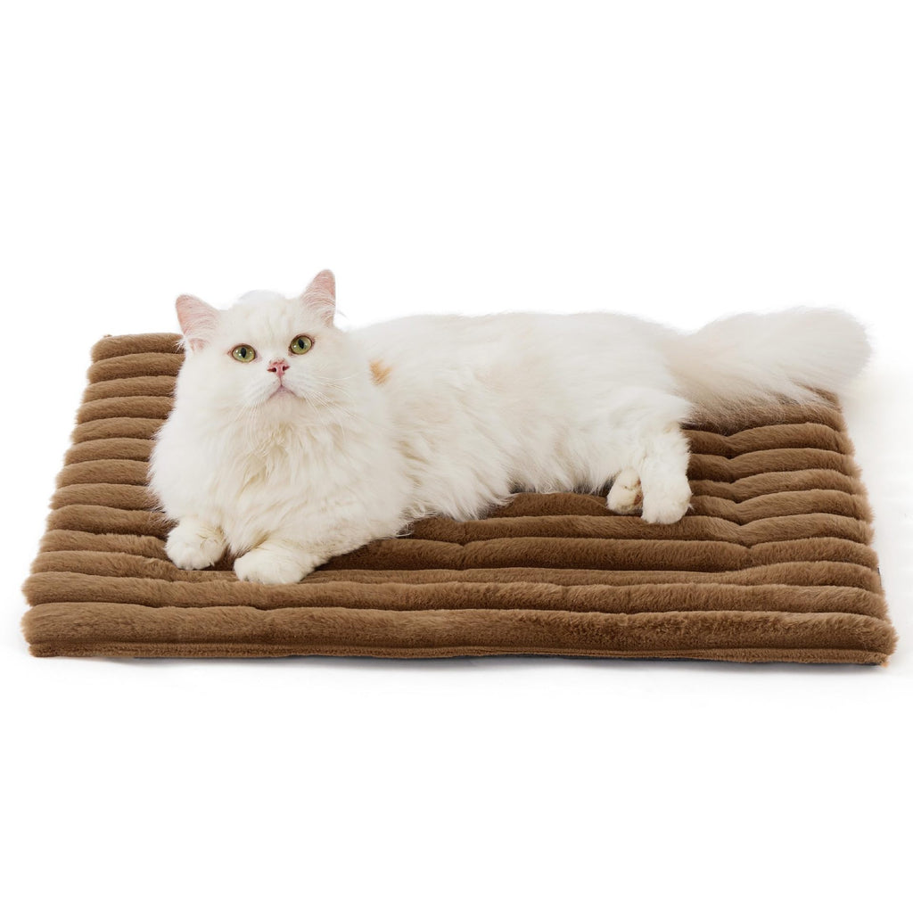 cat-relaxing-on-self-heating-bed