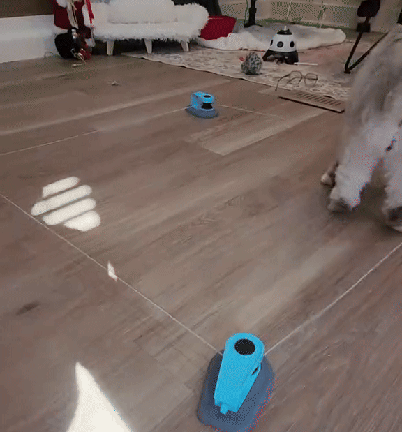 cat weight loss toy