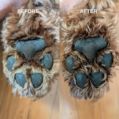 dog paw washer uk