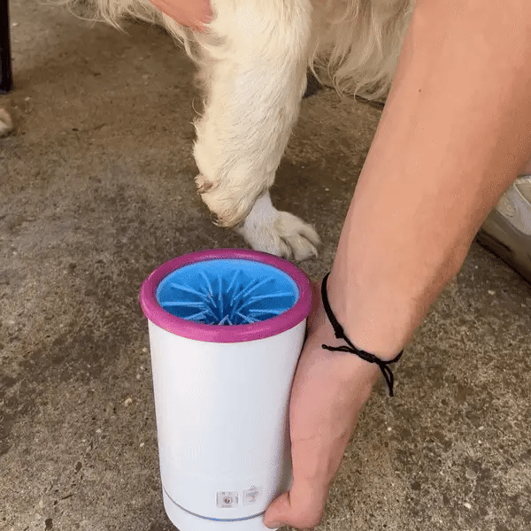 electric paw-washing machine