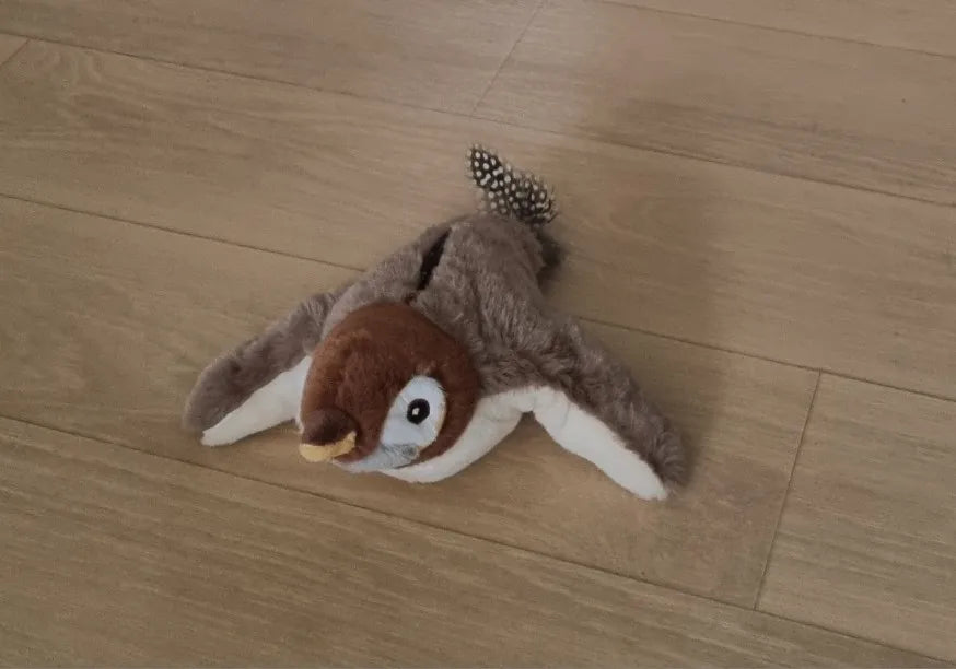 flapping-bird-cat-toy-on-floor