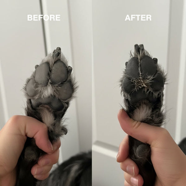 muddy-paw-clean-in-seconds-infographic