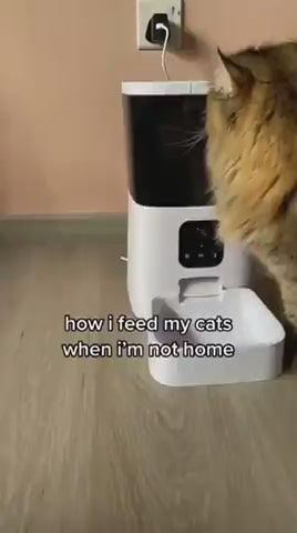 Pet Automatic Feeder