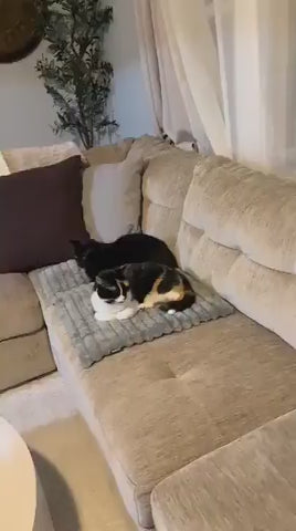 Warming pet Mat