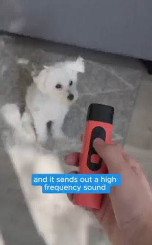 Anti-Barking Training Device