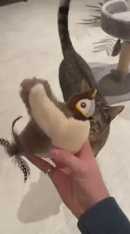Bird Toy